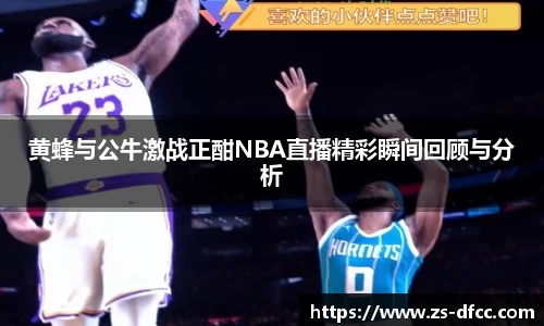 bsports官网入口