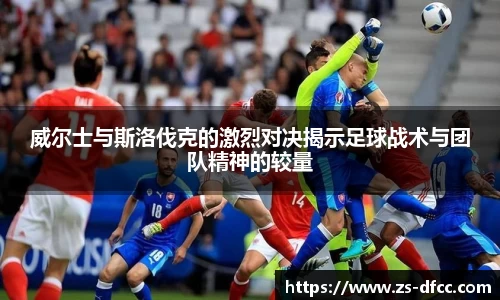 B体育官网