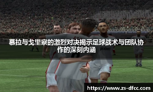 B体育bsports