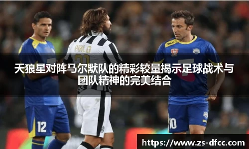 bsports官网入口