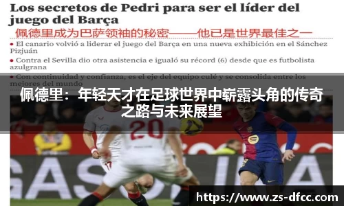 bsports官网入口